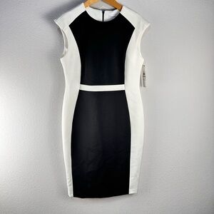 Calvin Klein Colorblock Midi Sheath Dress Sz 12